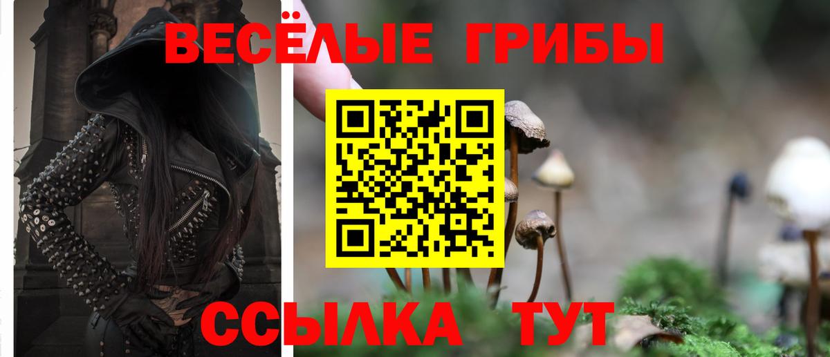 Галлюциногенные грибы MAGIC MUSHROOMS  купить наркоту  Вход с VPN  Белово  Галлюциногенные грибы прущие грибы 